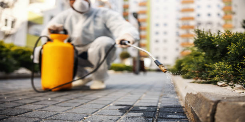 Maintenance Of Your Pressure Washer