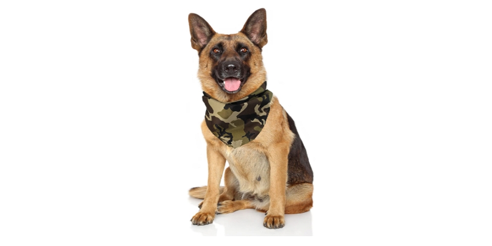 What Is a Camo Bandana and Its Benefits?